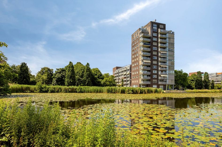 Roodborststraat 57