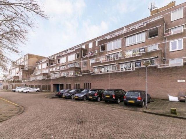 Urkwal ONG, Almere