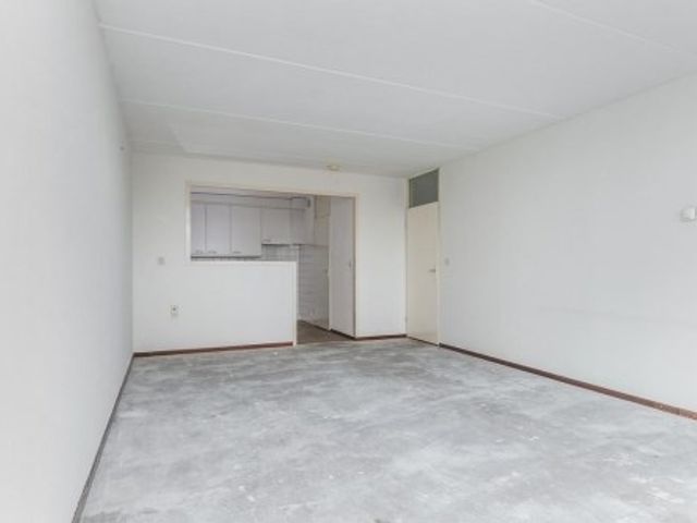 Urkwal ONG, Almere