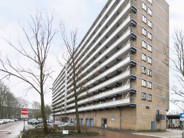Groenhof ONG, Amstelveen