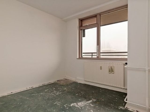 Groenhof ONG, Amstelveen
