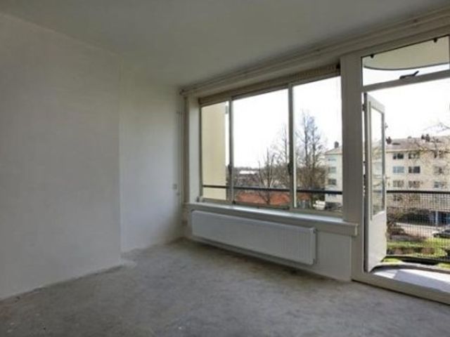 Petrus Blokhof ONG, Amsterdam