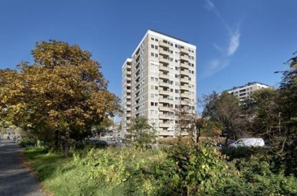 Ruimzicht ONG