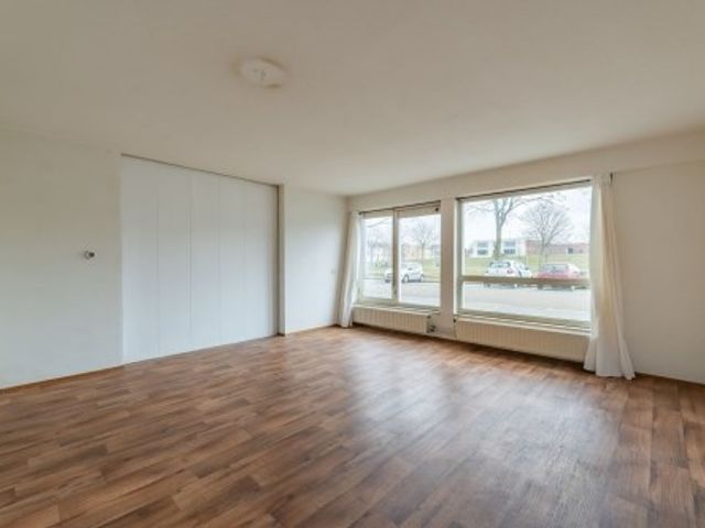 Bernard Shawsingel ONG, Amsterdam