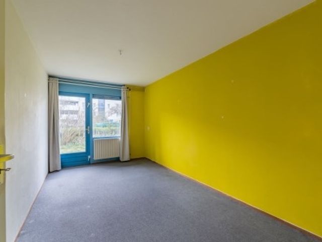 Bernard Shawsingel ONG, Amsterdam