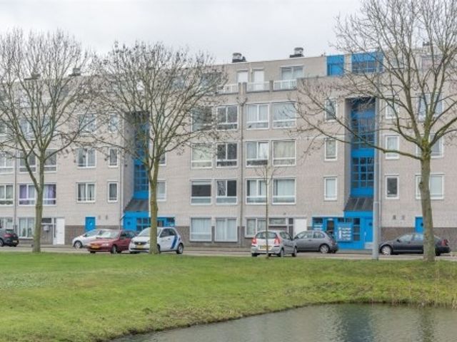 Bernard Shawsingel ONG, Amsterdam
