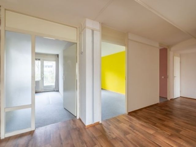 Bernard Shawsingel ONG, Amsterdam