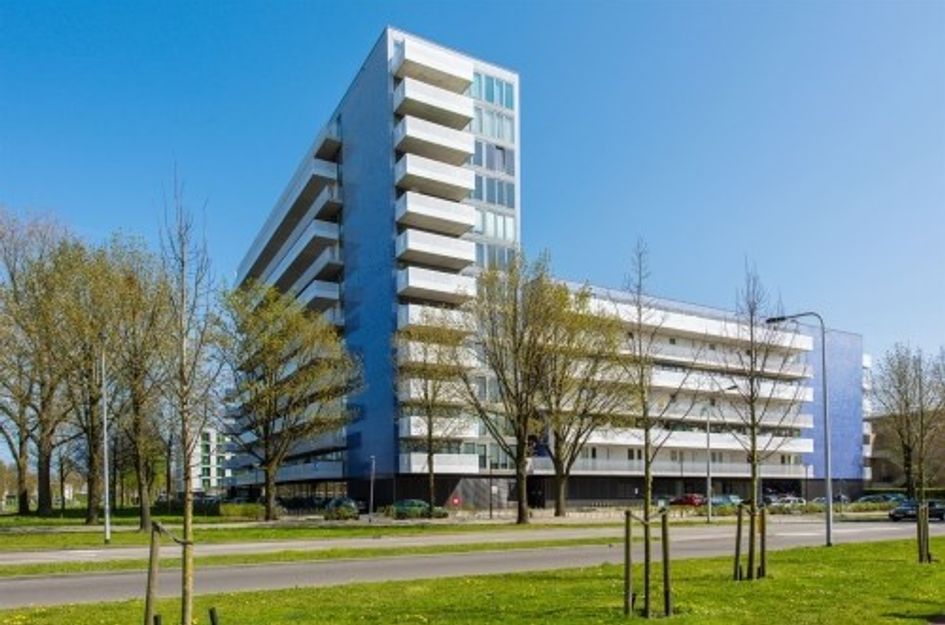 Vijfhagen ONG