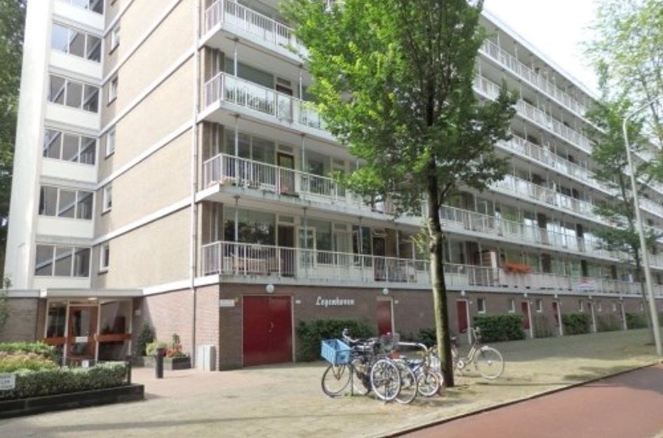 Volendamlaan ONG
