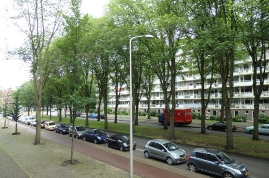 Volendamlaan ONG