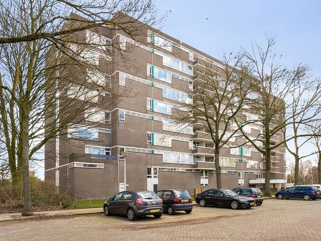 Maalakker ONG, Eindhoven