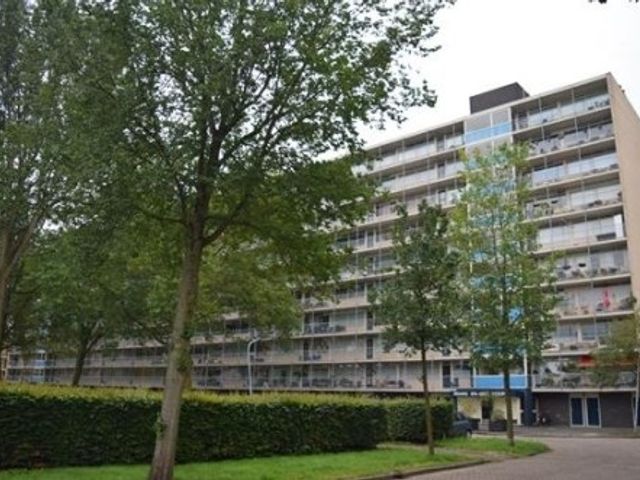 Engelandlaan ONG, Haarlem