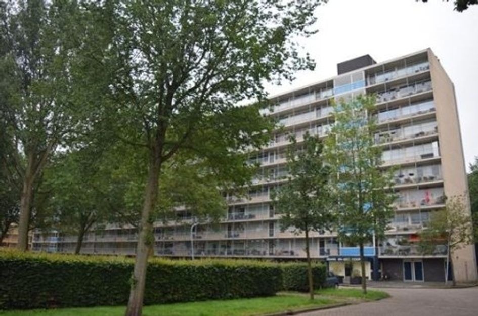 Engelandlaan ONG
