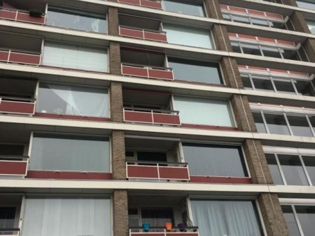 Bachstraat ONG, Leiden