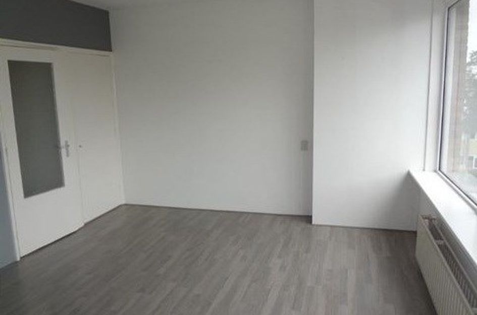 Van Banchemhof ONG
