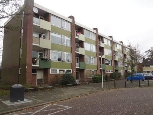 Van Banchemhof ONG, Leiden