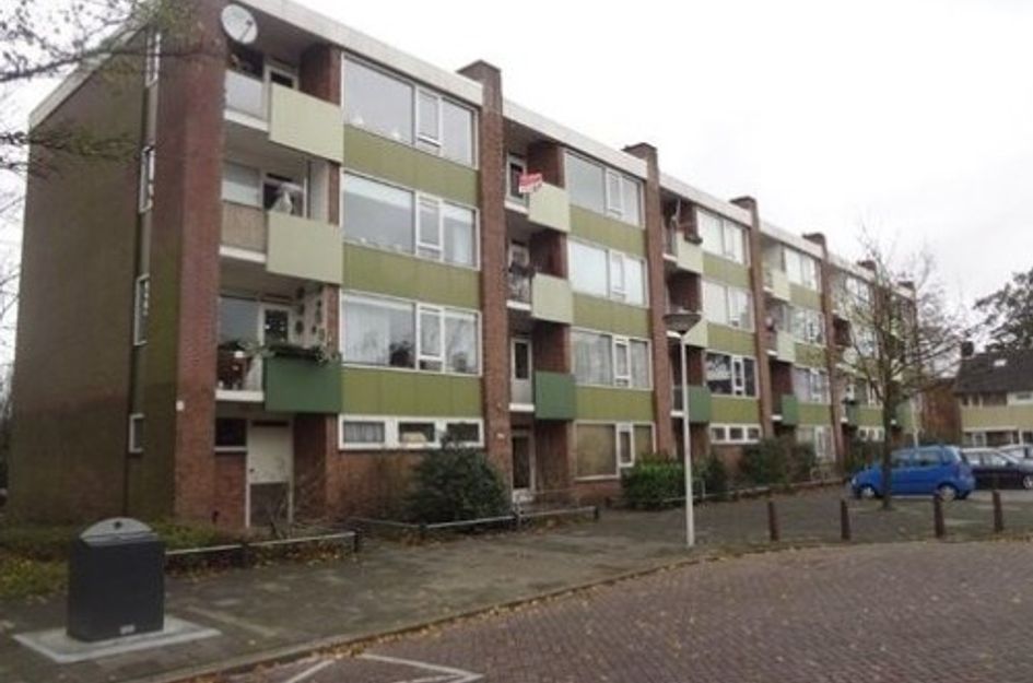 Van Banchemhof ONG