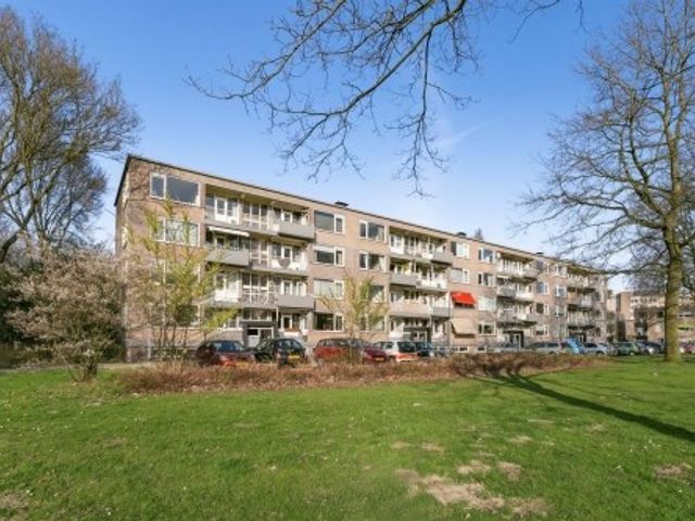 Europalaan ONG, Tilburg