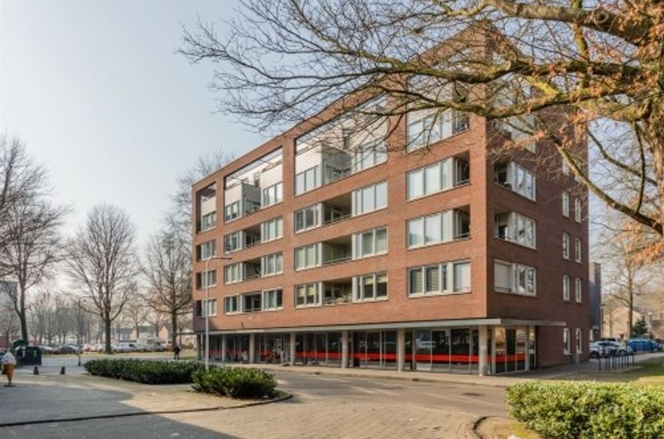 Verdiplein ONG