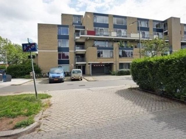 Texel ONG, Utrecht