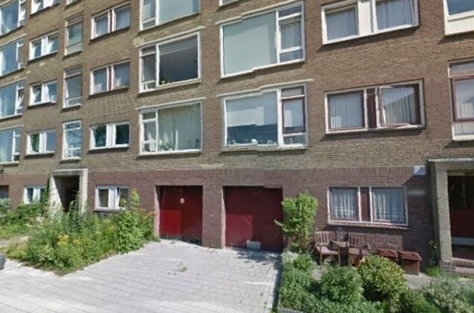Looplantsoen ONG