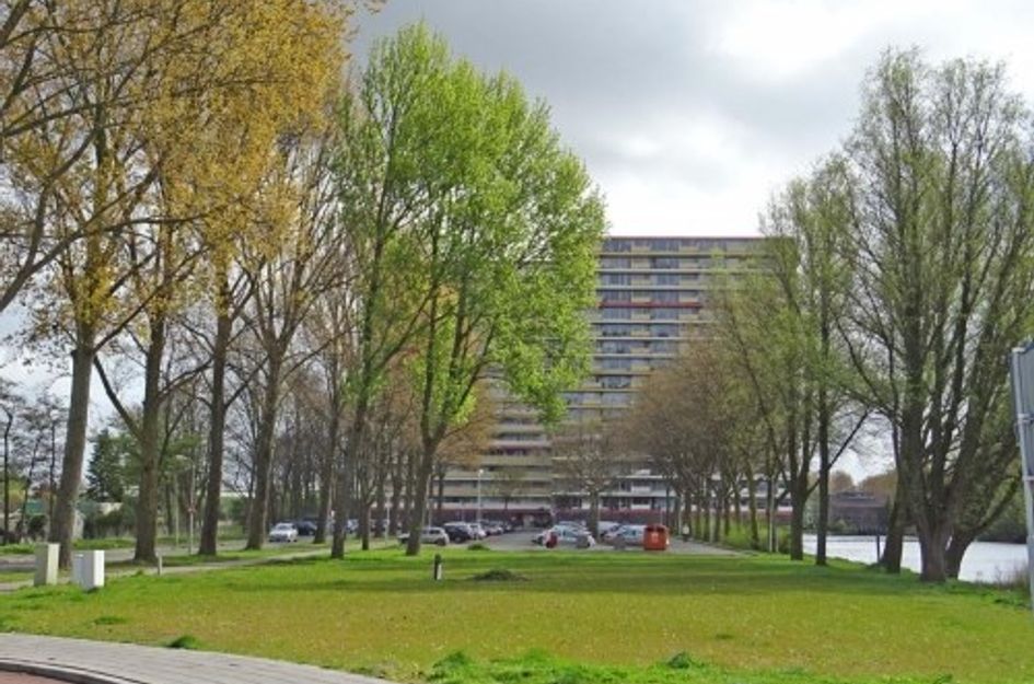 Oost Dorsch ONG