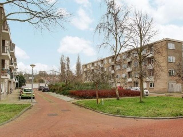 Lievenshof ONG, Alkmaar