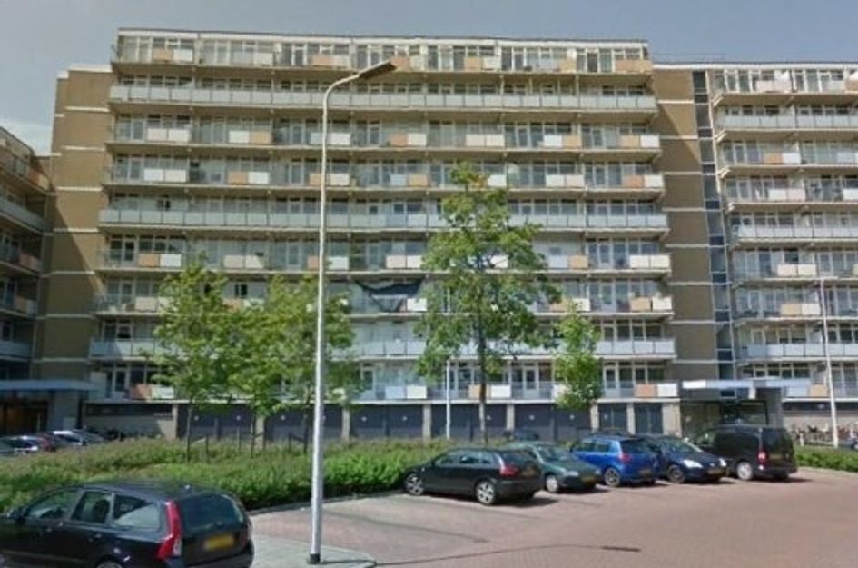 Lupinesingel ONG