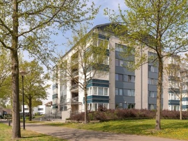 Bever ONG, Amersfoort
