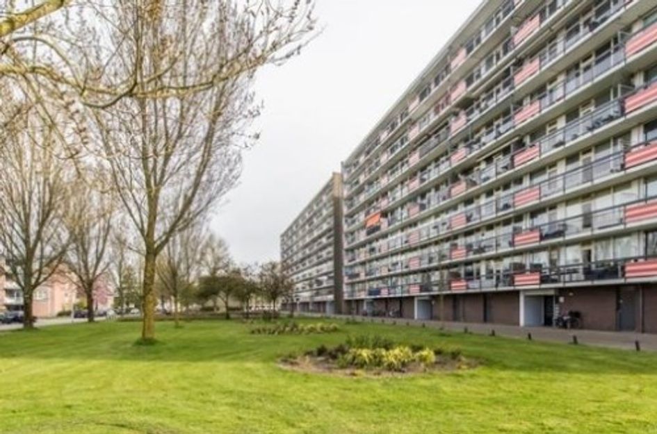 Trekvogelweg ONG