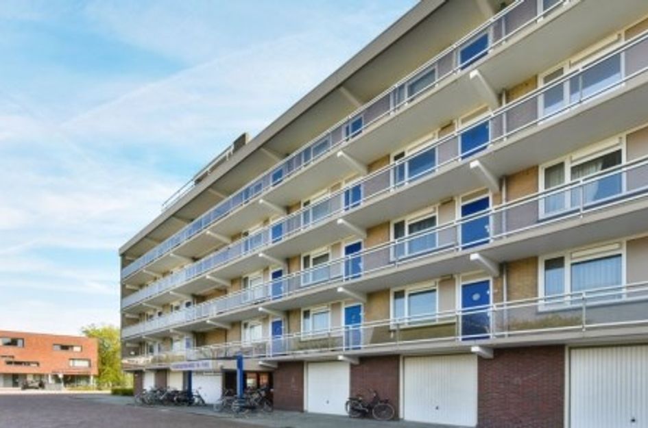 Hoeksewaard ONG