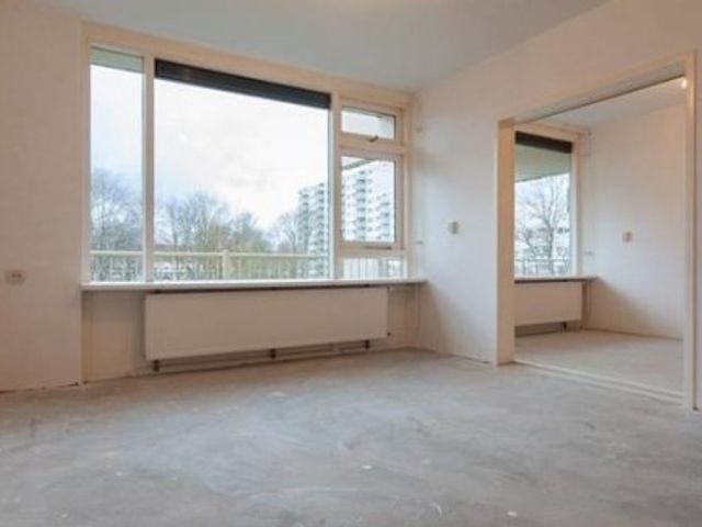 Zilverberg ONG, Amsterdam