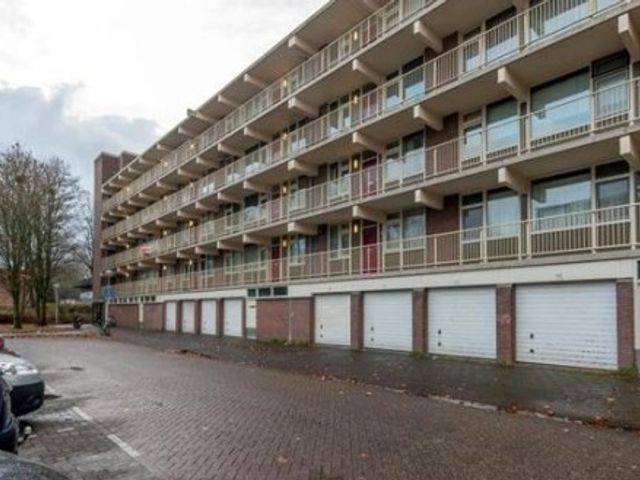 Zilverberg ONG, Amsterdam