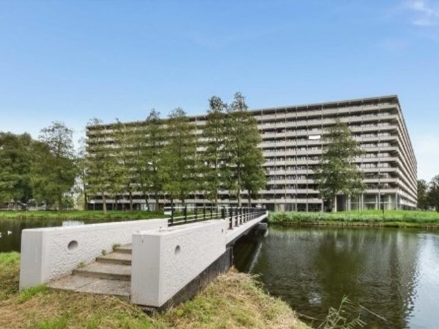 Kleiburg ONG, Amsterdam