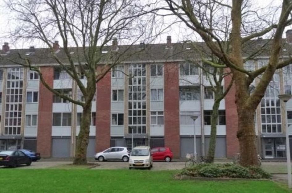Grote Ruwenberg ONG