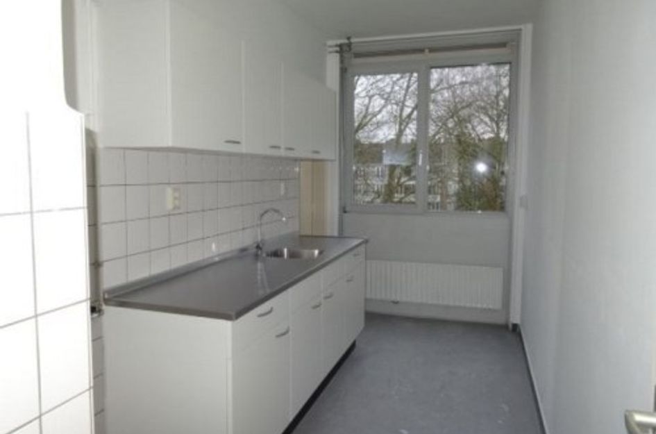 Grote Ruwenberg ONG