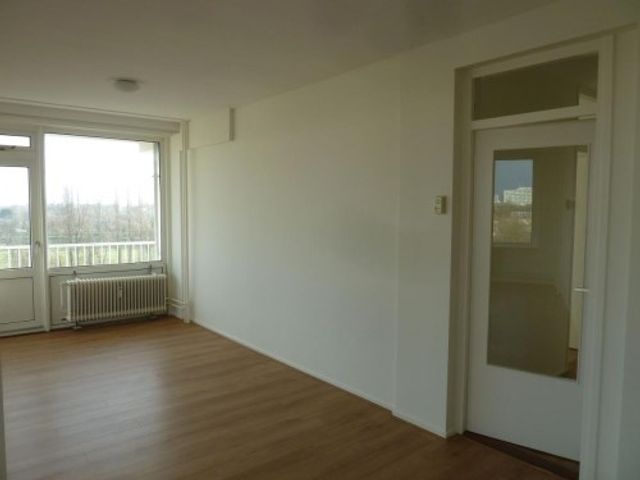 Gerstkamp ONG, Den Haag