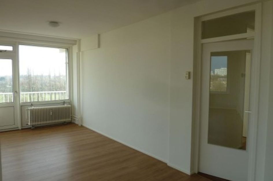 Gerstkamp ONG