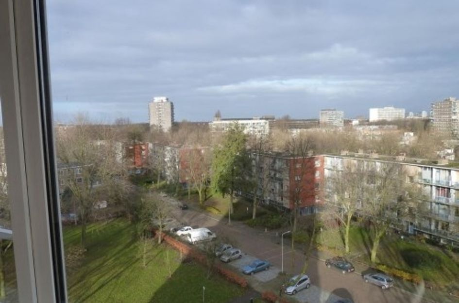Gerstkamp ONG