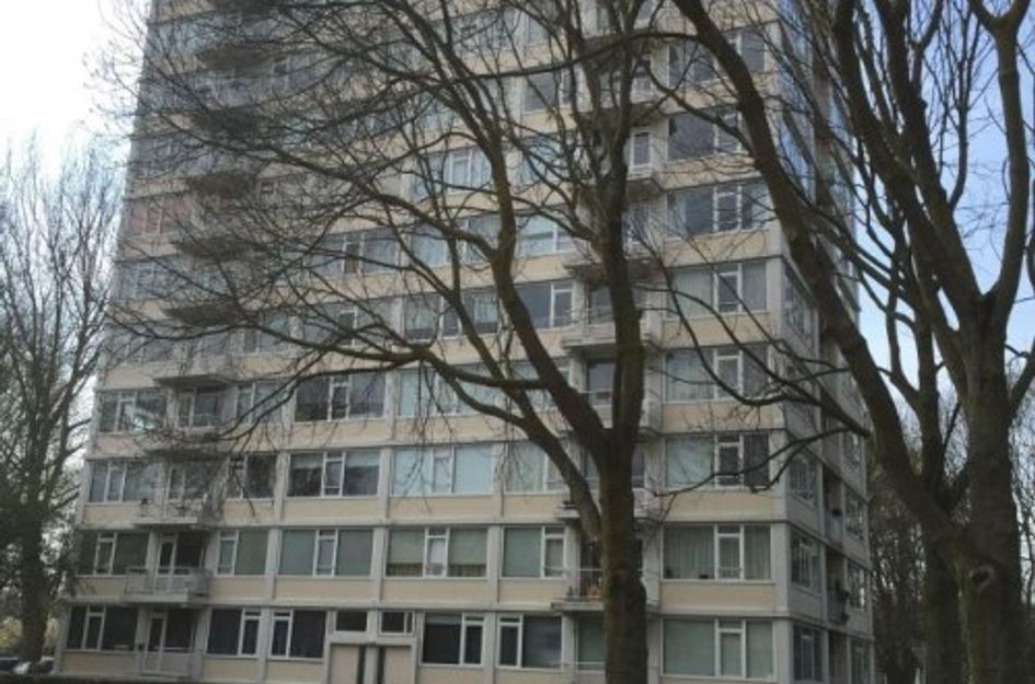 Gerstkamp ONG