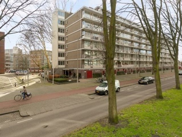Volendamlaan ONG, Den Haag