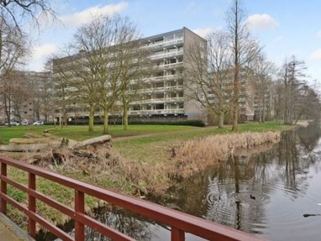 Isabellaland ONG, Den Haag