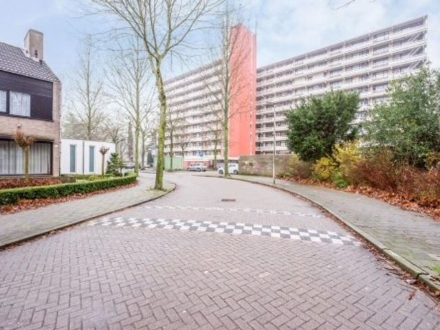 De Koppele ONG, Eindhoven