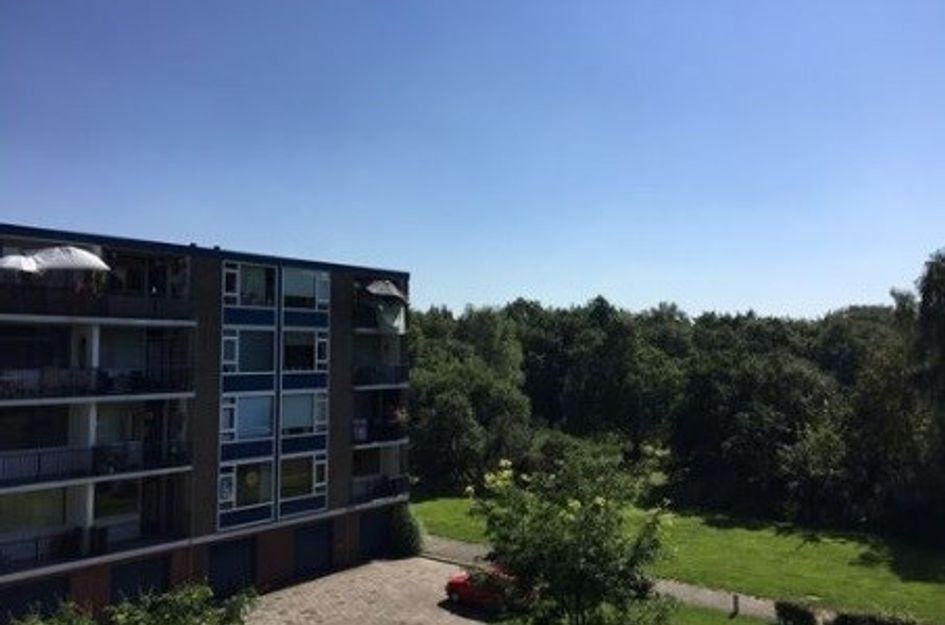 Banckertlaan ONG