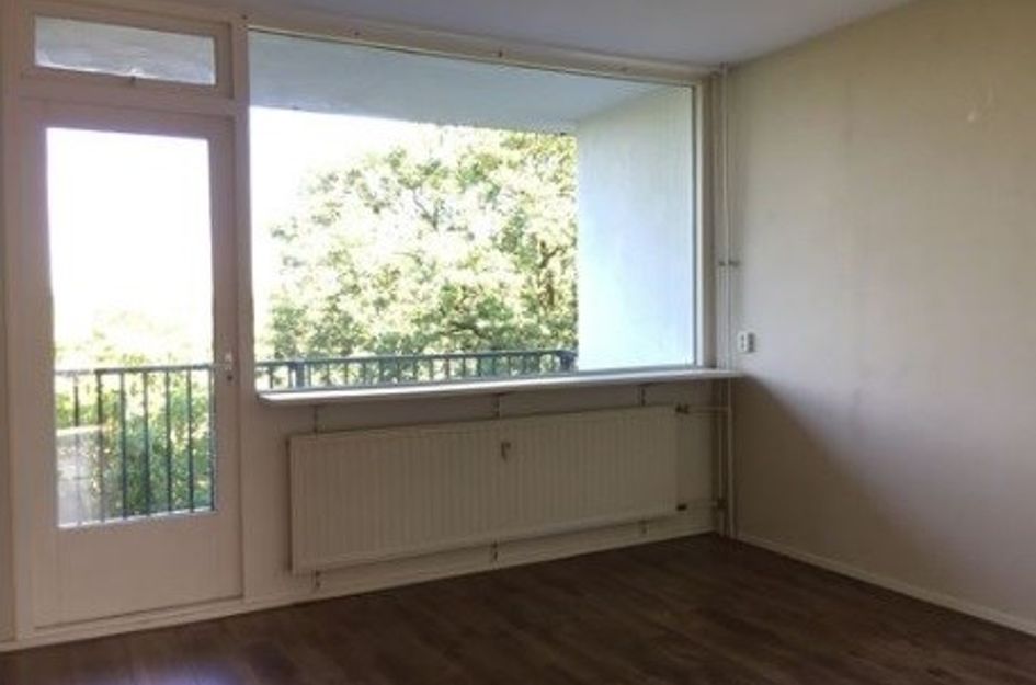 Banckertlaan ONG