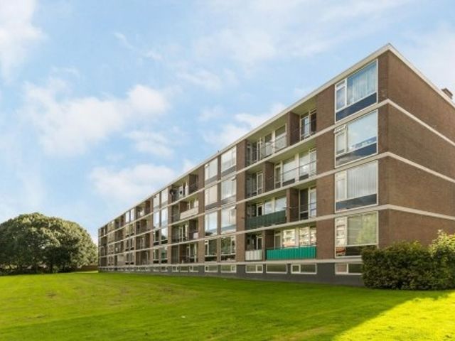 Quadenoord ONG, Rotterdam