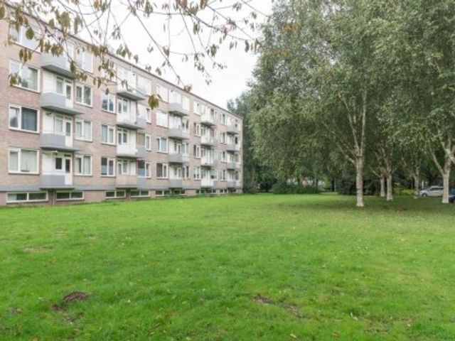 Europalaan ONG, Tilburg