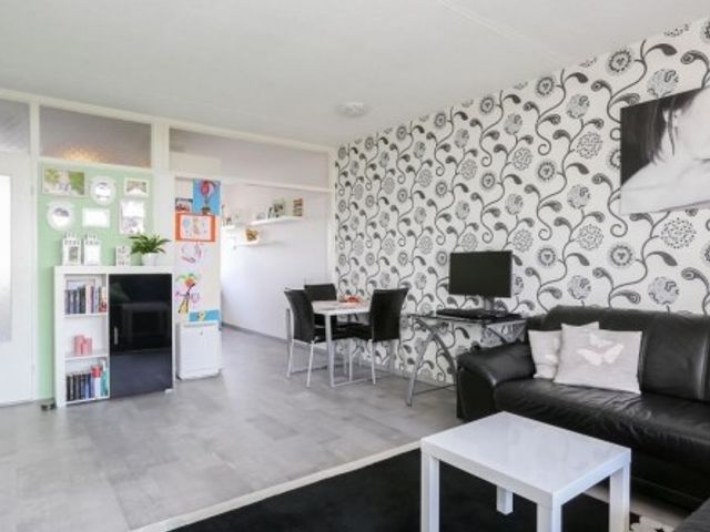 Europalaan ONG, Tilburg