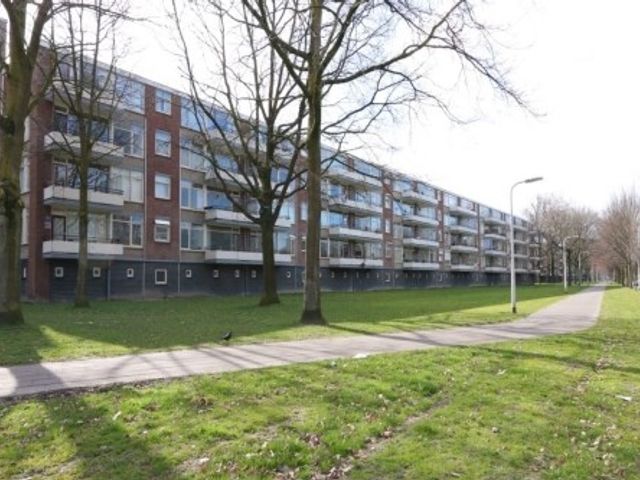 Predikherenlaan ONG, Tilburg