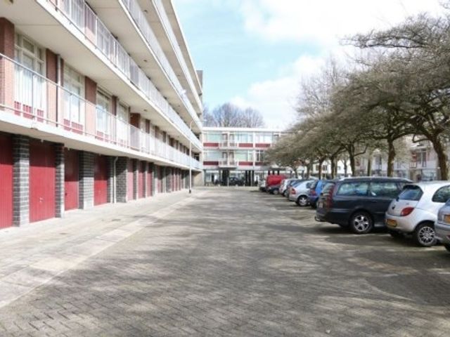 Predikherenlaan ONG, Tilburg